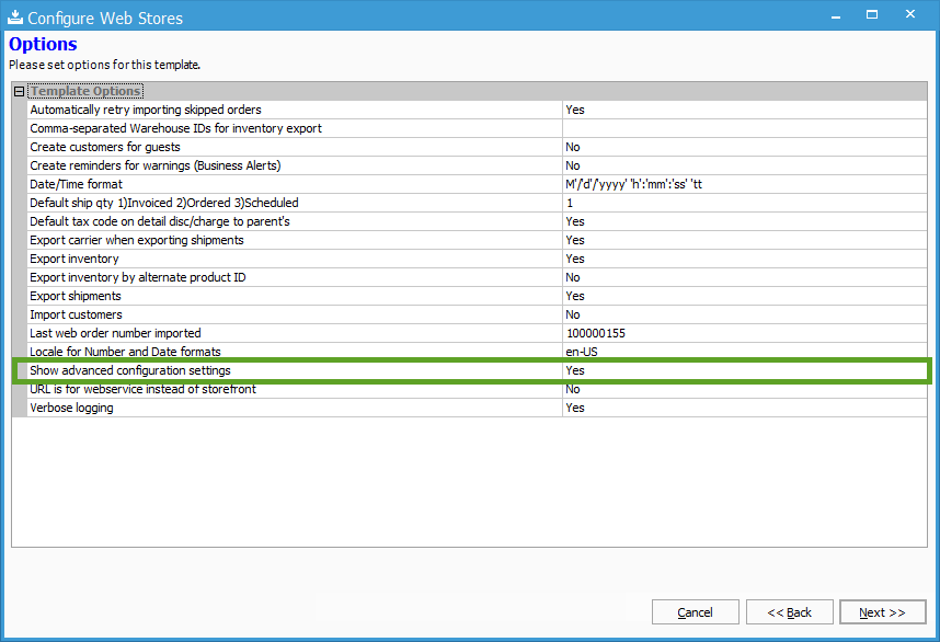 xml-template-advanced-options